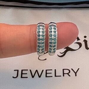 Pretty Bird Turquoise Crystal Hoop Earrings